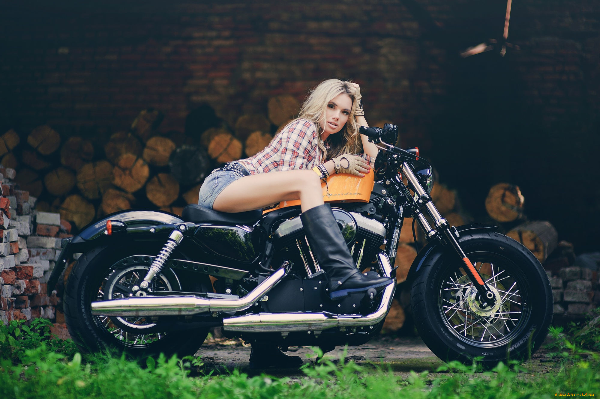 мотоциклы, мото с девушкой, девушка, байк, мотоцикл, харлей, harley, davids...